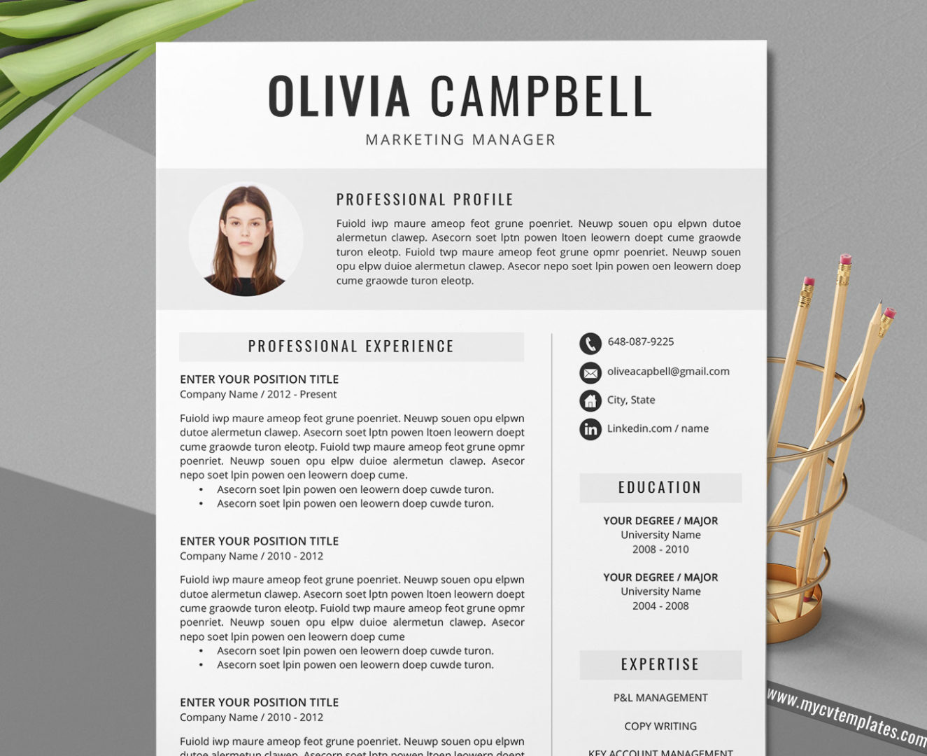 Student CV Template, Curriculum Vitae, Simple CV Format Design, Modern